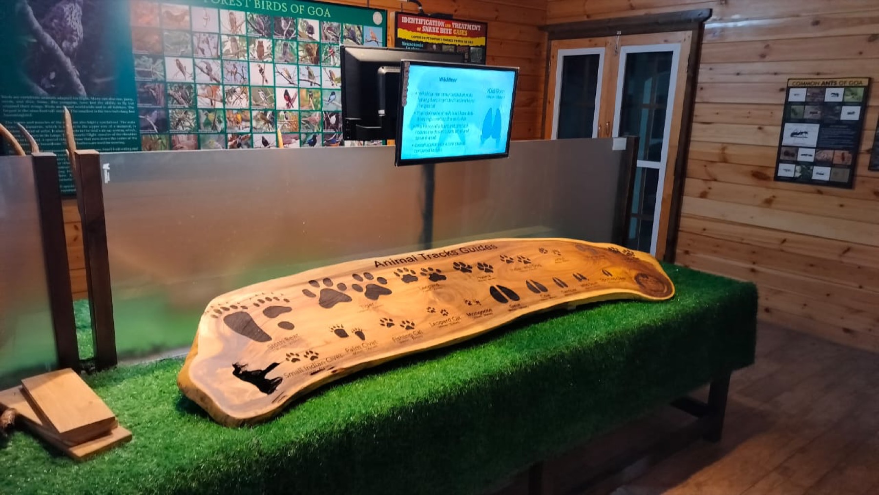 Animal track interactive guide