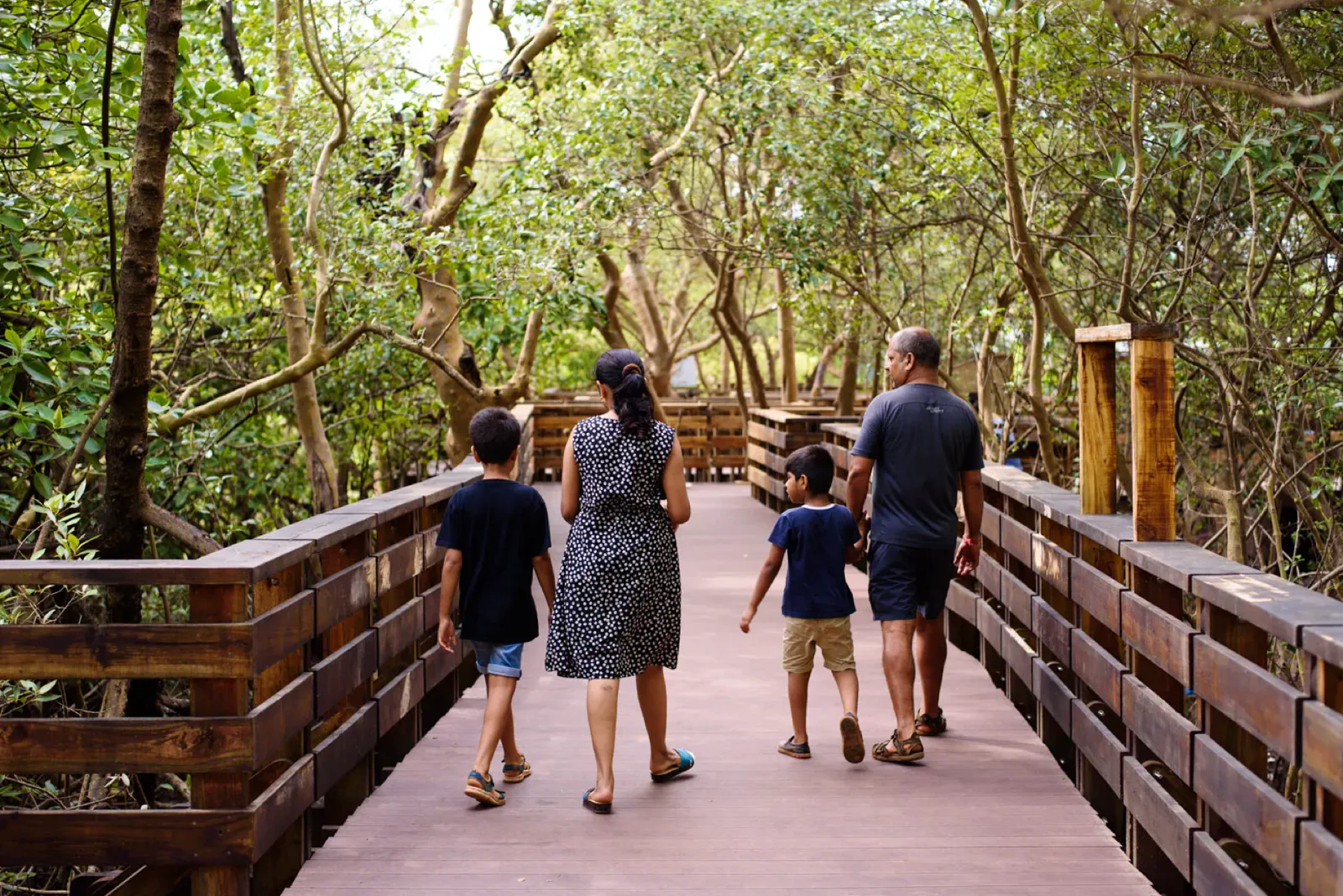 Visitors on an elevated forest walkway