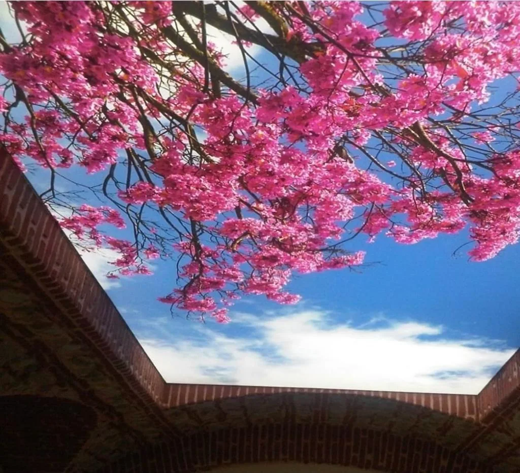 Blossom fabric ceiling