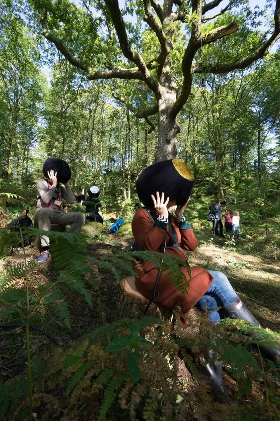 Field VR experience