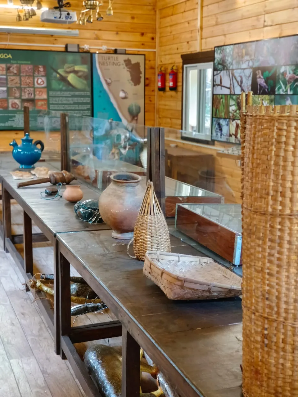 Tribal Artifacts Showcase